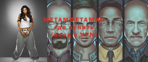 индика Ладушкин