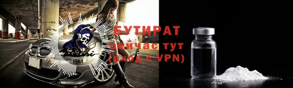 индика Ладушкин