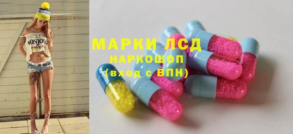 индика Ладушкин