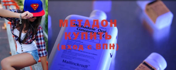 индика Ладушкин