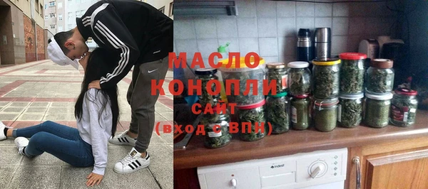 индика Ладушкин
