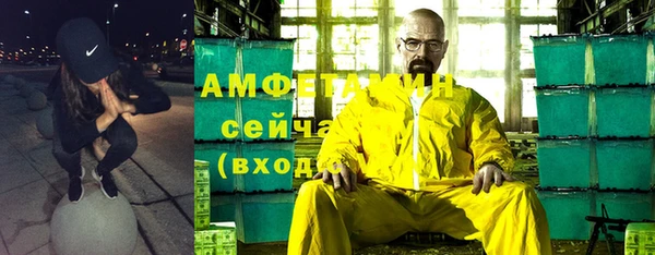 индика Ладушкин