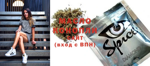 индика Ладушкин