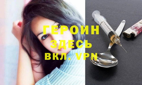 индика Ладушкин