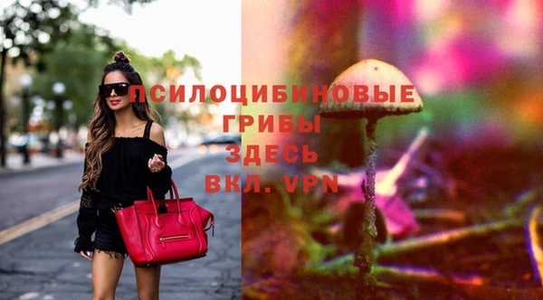 индика Ладушкин
