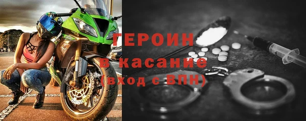 индика Ладушкин
