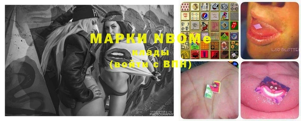индика Ладушкин