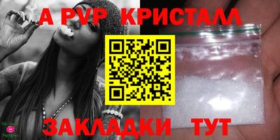 шишки Тара
