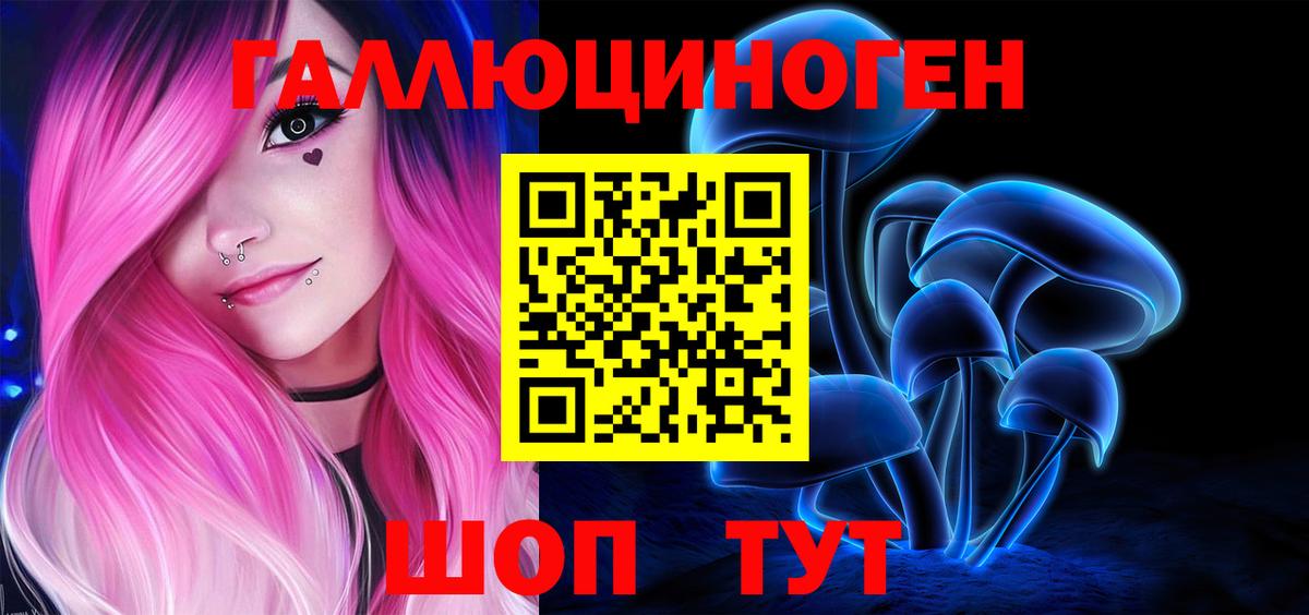 Псилоцибиновые грибы Psilocybe Осинники